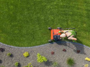 Lawncare service in the East Valley